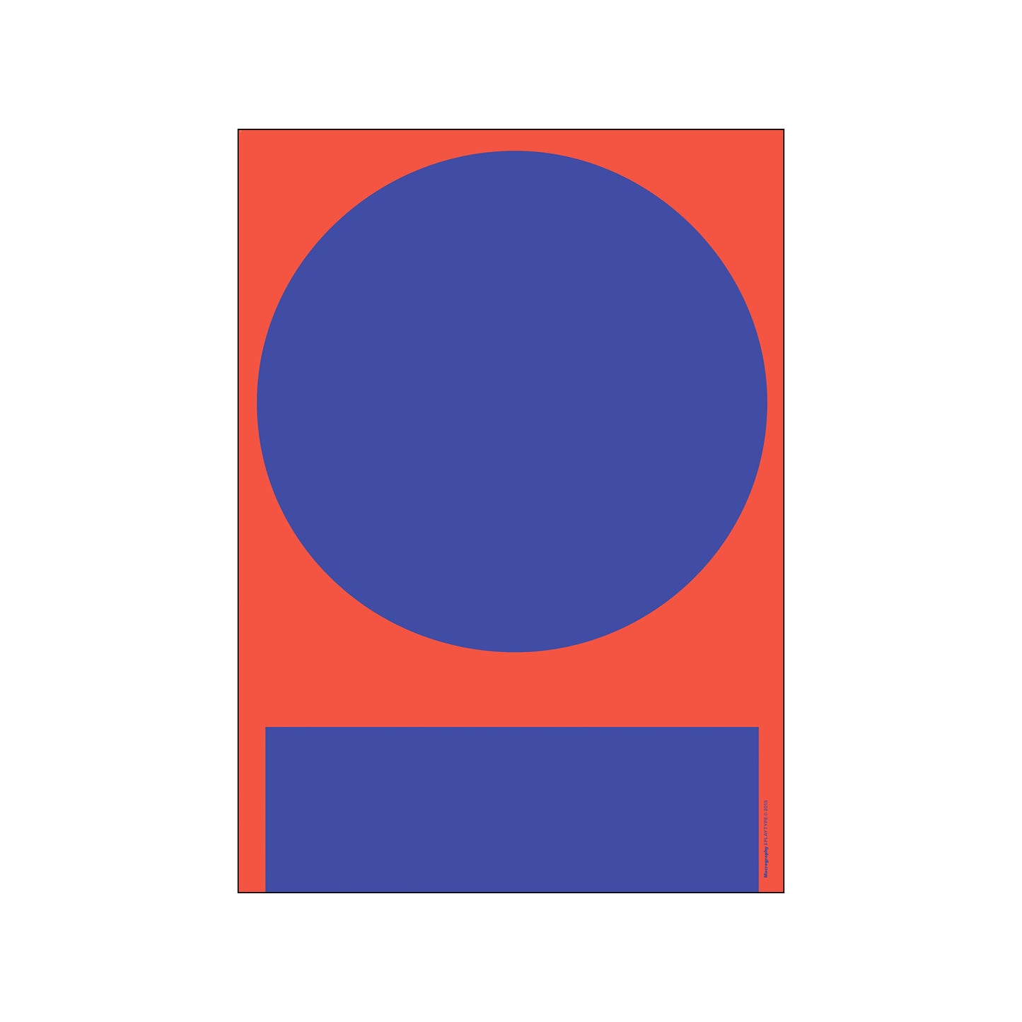 Macrography - Red and Blue