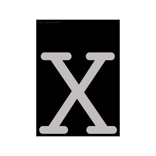 Berlingske - X