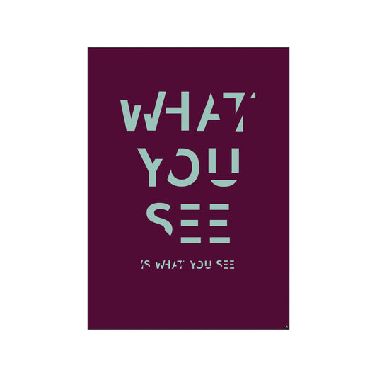 ST - WHAT YOU SEE IS WHAT YOU SEE